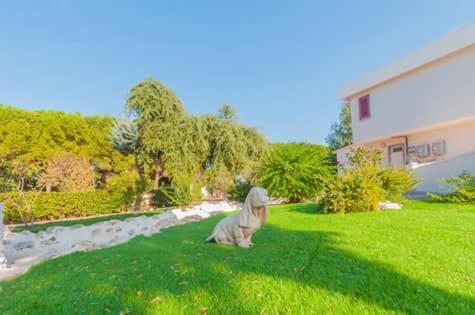 Paradise Beb Giovinazzo Exterior photo